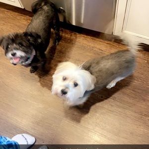 Meet your Posher, Chloe